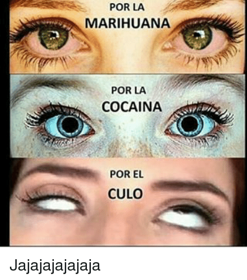 por-la-marihuana-por-la-cocaina-por-el-culo-jajajajajajaja-20078395.png